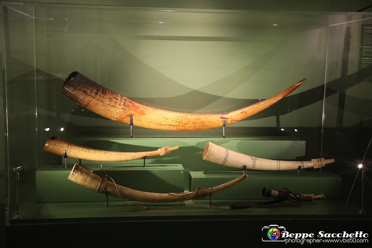 VBS_5431 - Africa - Le collezioni dimenticate.jpg